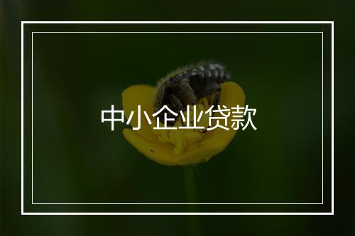 中小企业贷款