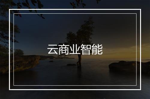 云商业智能