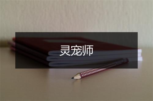 灵宠师