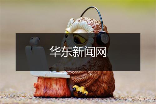 华东新闻网