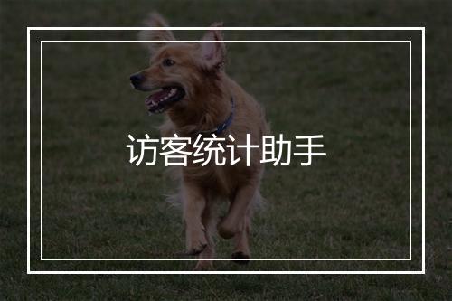 访客统计助手