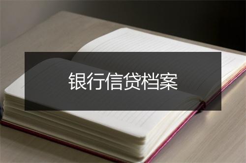 银行信贷档案