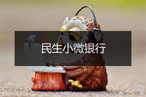 民生小微银行