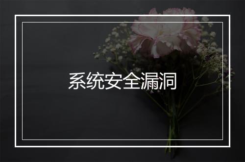 系统安全漏洞