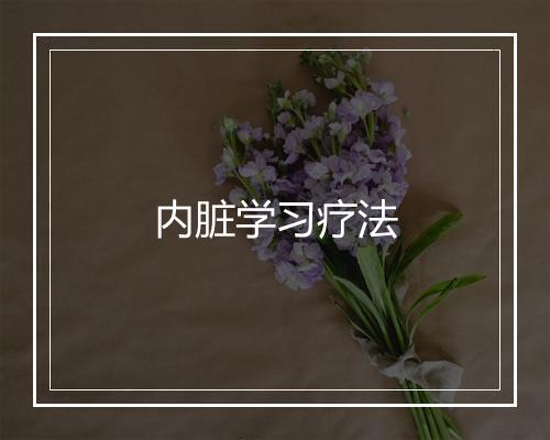 内脏学习疗法