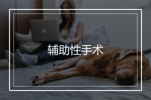 辅助性手术