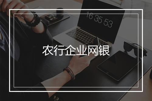 农行企业网银