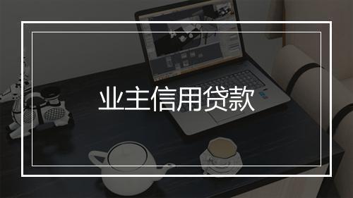 业主信用贷款