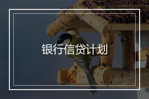 银行信贷计划