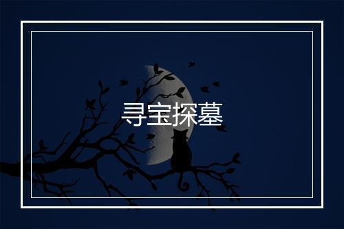 寻宝探墓