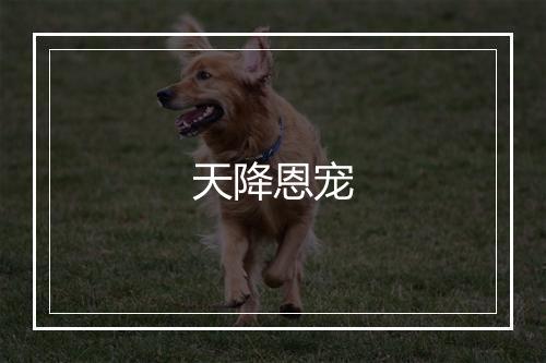 天降恩宠