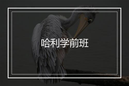 哈利学前班