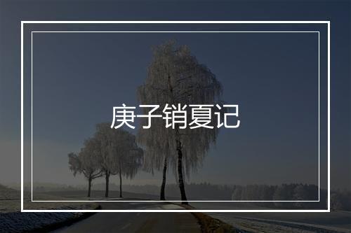 庚子销夏记