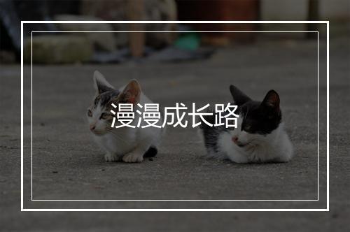 漫漫成长路