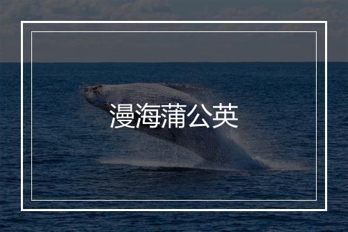 漫海蒲公英