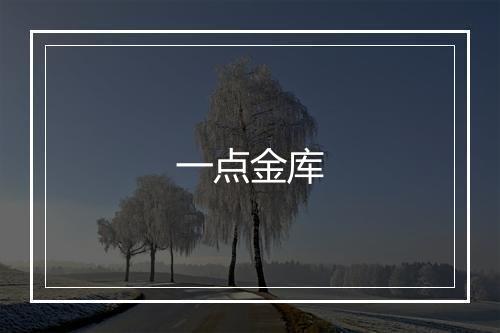 一点金库