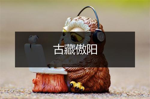 古藏傲阳