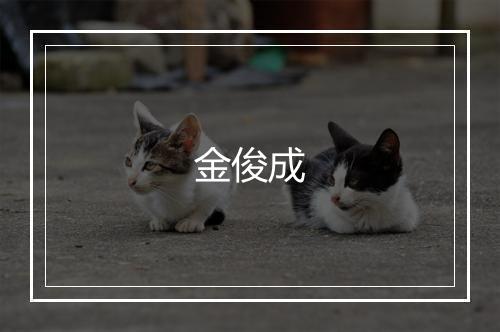 金俊成