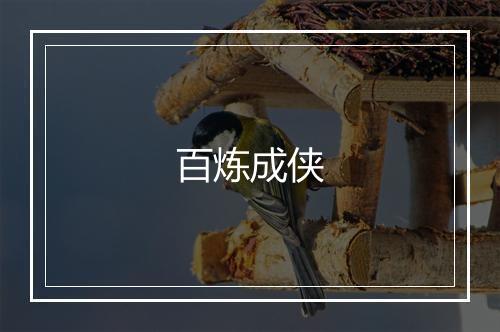 百炼成侠