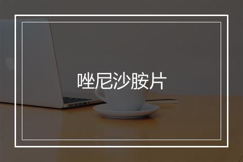 唑尼沙胺片