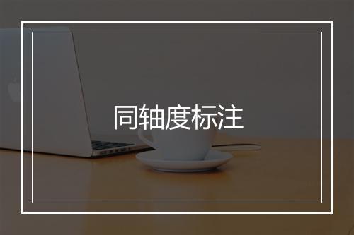 同轴度标注