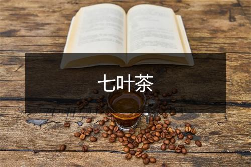 七叶茶