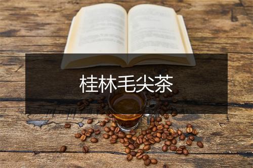 桂林毛尖茶