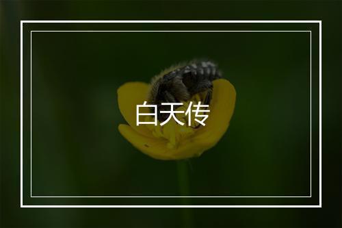 白天传