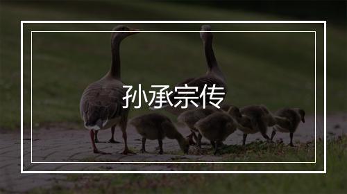 孙承宗传