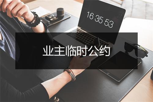 业主临时公约