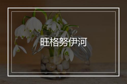 旺格努伊河