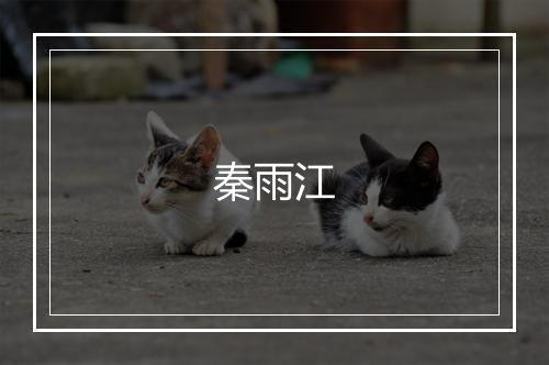 秦雨江