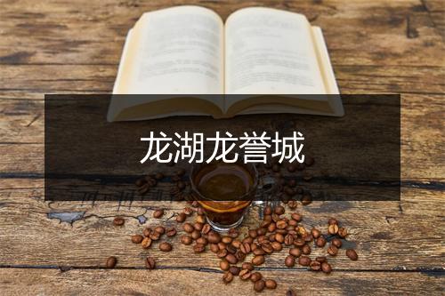 龙湖龙誉城