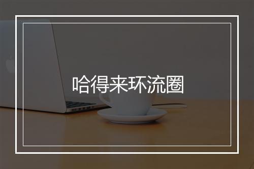 哈得来环流圈