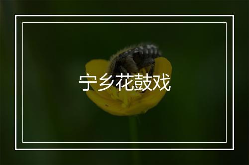 宁乡花鼓戏