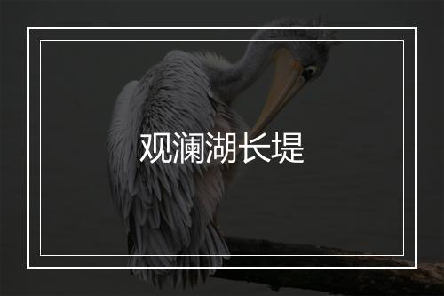 观澜湖长堤