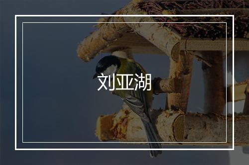 刘亚湖