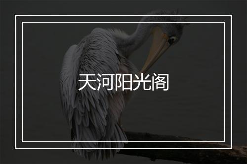 天河阳光阁