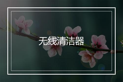 无线清洁器