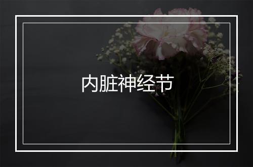 内脏神经节