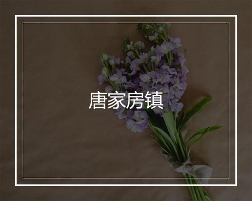 唐家房镇