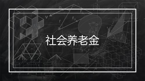 社会养老金