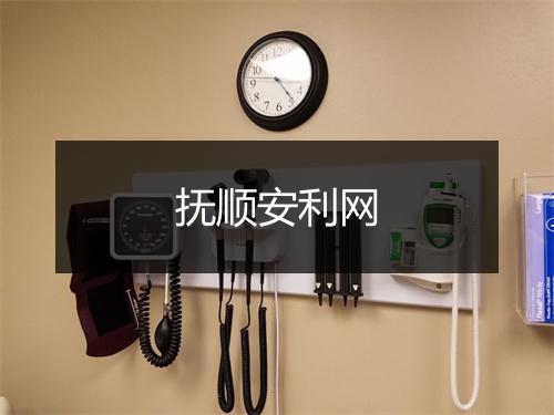 抚顺安利网