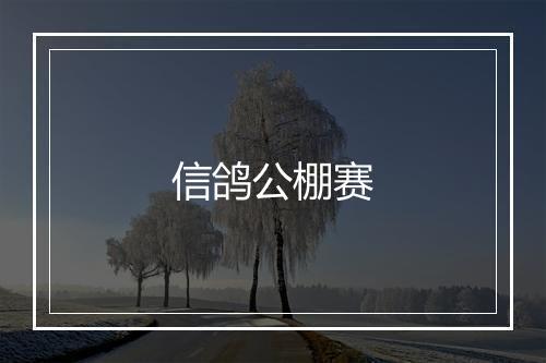 信鸽公棚赛