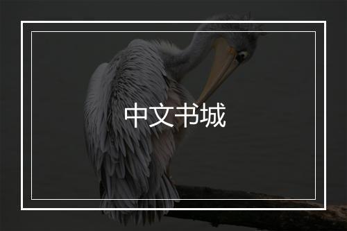 中文书城