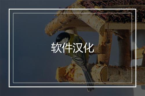 软件汉化