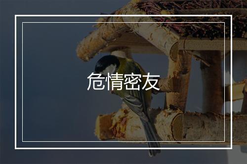 危情密友