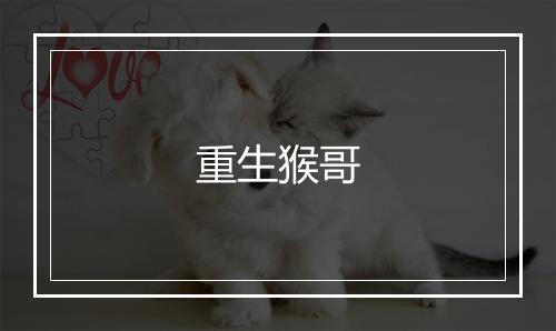 重生猴哥