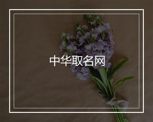 中华取名网