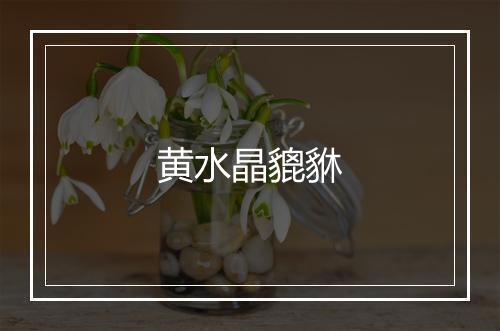 黄水晶貔貅